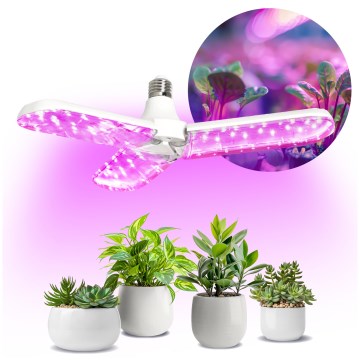 LED Żarówka do wzrostu roślin PLANTY E27/24W/230V 1200K