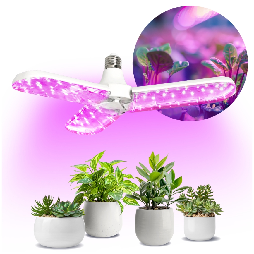 LED Żarówka do wzrostu roślin PLANTY E27/24W/230V 1200K