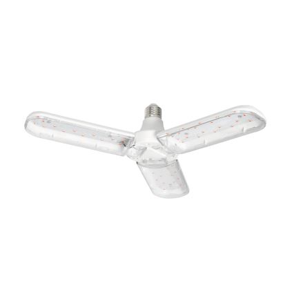 LED Żarówka do wzrostu roślin PLANTY E27/24W/230V 1200K
