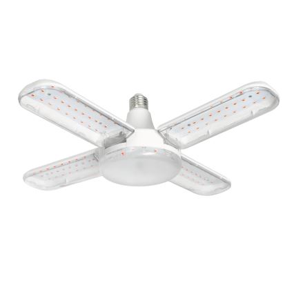 LED Żarówka do wzrostu roślin PLANTY E27/40W/230V 1200K