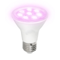 LED Żarówka do wzrostu roślin PLANTY E27/7W/230V 1200K biała