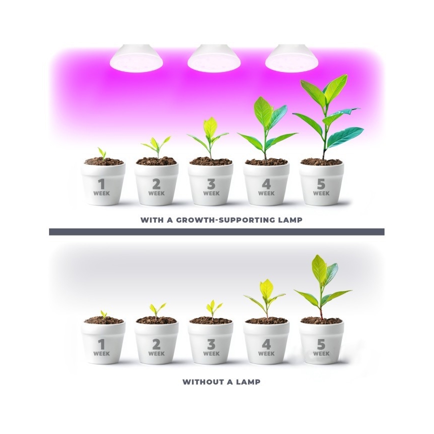 LED Żarówka do wzrostu roślin PLANTY E27/7W/230V 1200K biała