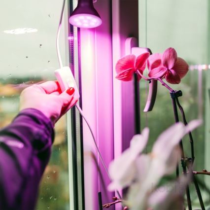 LED Żarówka do wzrostu roślin PLANTY E27/7W/230V 1200K czarna