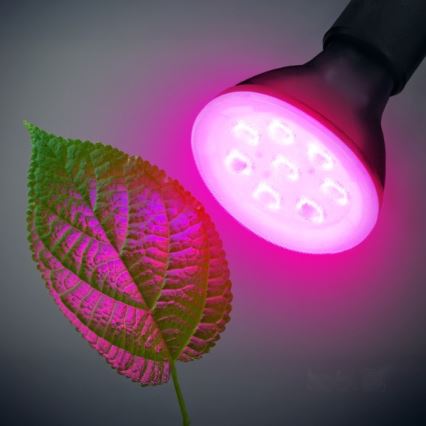 LED Żarówka do wzrostu roślin PLANTY E27/7W/230V 1200K czarna