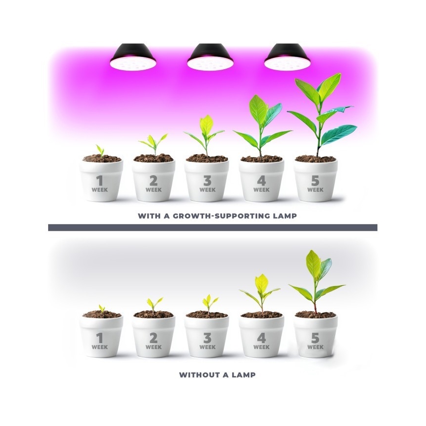 LED Żarówka do wzrostu roślin PLANTY E27/7W/230V 1200K czarna