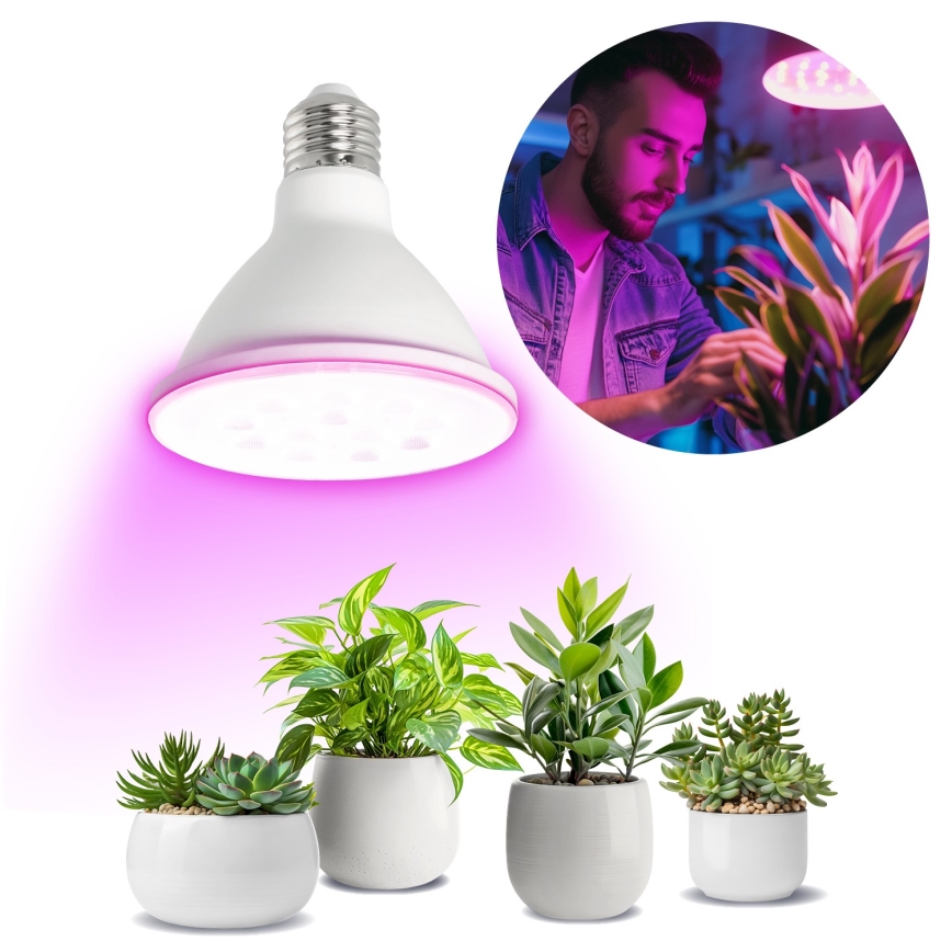 LED Żarówka do wzrostu roślin PLANTY E27/9W/230V 1200K biały