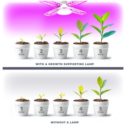 LED Żarówka do wzrostu roślin VITABLOOM E27/40W/230V 1200K - Brilagi
