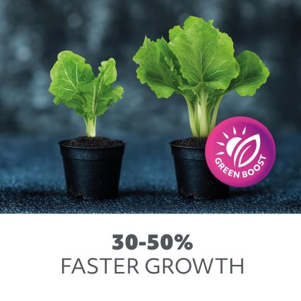 LED Żarówka do wzrostu roślin VITABLOOM E27/40W/230V 1200K - Brilagi