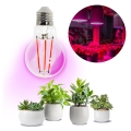 LED Żarówka do wzrostu roślin VITABLOOM E27/8W/230V 1200K - Brilagi