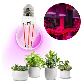 LED Żarówka do wzrostu roślin VITABLOOM E27/8W/230V 1200K - Brilagi