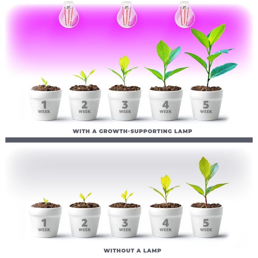 LED Żarówka do wzrostu roślin VITABLOOM E27/8W/230V 1200K - Brilagi