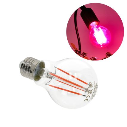 LED Żarówka do wzrostu roślin VITABLOOM E27/8W/230V 1200K - Brilagi