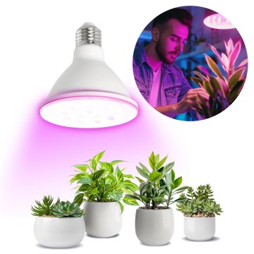 LED Żarówka do wzrostu roślin VITABLOOM E27/9W/230V 1200K biała - Brilagi
