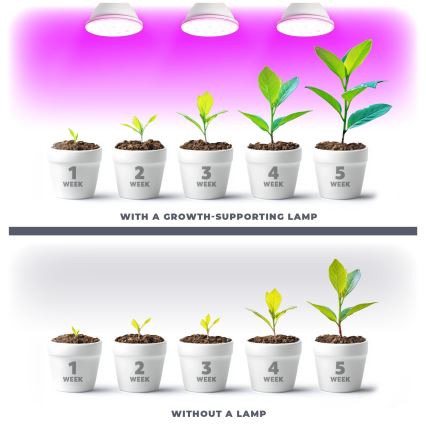 LED Żarówka do wzrostu roślin VITABLOOM E27/9W/230V 1200K biała - Brilagi