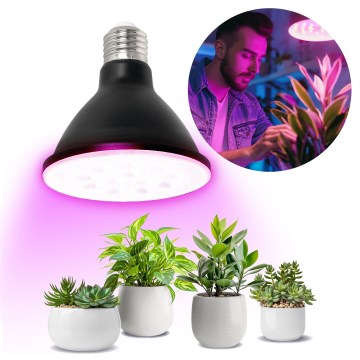 LED Żarówka do wzrostu roślin VITABLOOM E27/9W/230V 1200K czarna - Brilagi