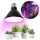 LED Żarówka do wzrostu roślin VITABLOOM E27/9W/230V 1200K czarna - Brilagi