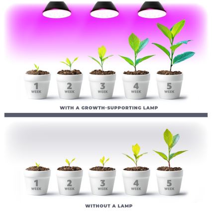 LED Żarówka do wzrostu roślin VITABLOOM E27/9W/230V 1200K czarna - Brilagi
