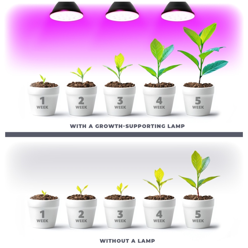 LED Żarówka do wzrostu roślin VITABLOOM E27/9W/230V 1200K czarna - Brilagi