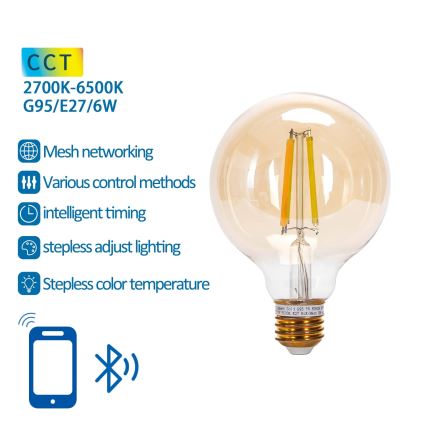 LED Żarówka ściemnialna FILAMENT MESH Smart G95 E27/6W/230V 2700-6500K - Aigostar