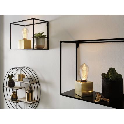 LED Żarówka INNER ST64 E27/3,5W/230V 1800K - Paulmann 28885
