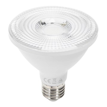 LED Żarówka PAR38 E27/18W/230V 6500K - Aigostar