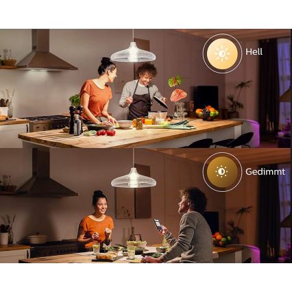 LED Żarówka Philips Hue WHITE E67 E27/15,5W/230V