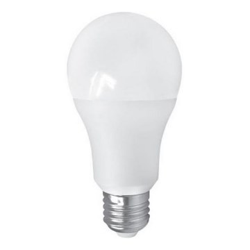 LED Żarówka PITT A60 AC/DC E27/12W/24V 4000K