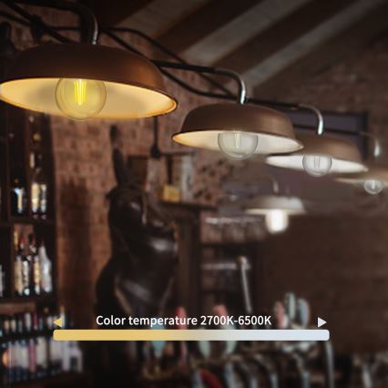 LED Żarówka ściemnialna FILAMENT G45 E27/4,5W/230V 2700-6500K Wi-Fi - Aigostar