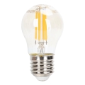 LED Żarówka ściemnialna FILAMENT G45 E27/4W/230V 2200K - Aigostar