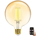 LED Żarówka ściemnialna FILAMENT MESH Smart G125 E27/6W/230V 2700-6500K - Aigostar