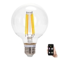 LED Żarówka ściemnialna FILAMENT MESH Smart G95 E27/6W/230V 2700-6500K - Aigostar