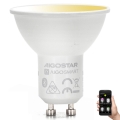 LED Żarówka ściemnialna GU10/6,5W/230V 2700-6500K - Aigostar