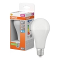 LED Żarówka STAR E27/19W/230V 6500K - Osram