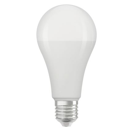 LED Żarówka STAR E27/19W/230V 6500K - Osram