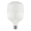 LED Żarówka T100 E27/30W/230V 4000K