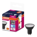 LED Żarówka VALUE PAR16 GU10/4,5W/230V 6500K 36° czarna - Osram