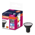 LED Żarówka VALUE PAR16 GU10/6,9W/230V 6500K 36° czarna - Ledvance