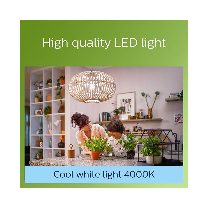 LED Żarówka VINTAGE Philips A60 E27/2,3W/230V 4000K