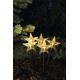 LED Zewnętrzna dekoracja bożonarodzeniowa 5xLED/3xAA IP44 gwiazdy