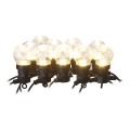 LED Zewnętrzna girlanda dekoracyjna 10xLED/10m IP44 przezroczysta