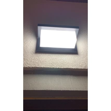 LED Zewnętrzny kinkiet z czujnikiem LED/12W/230V IP54 czarny