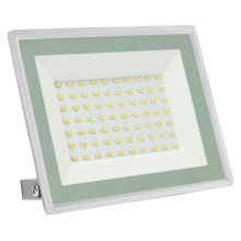 LED Zewnętrzny naświetlacz NOCTIS LUX 3 LED/50W/230V IP65 biały
