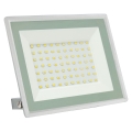 LED Zewnętrzny naświetlacz z czujnikiem NOCTIS LUX 3 LED/50W/230V IP65 biały