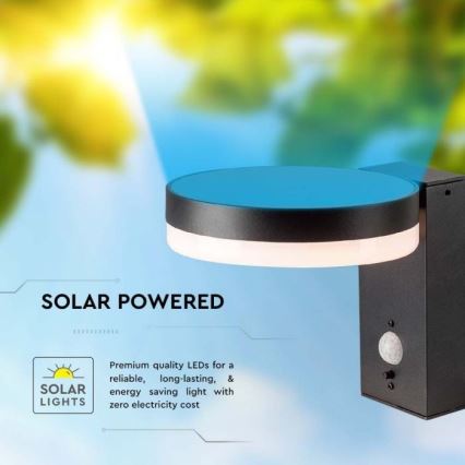 LED zewnętrzny solarny Kinkiet z czujnikiem LED/5,5W/3,7V 3000K IP54 2000 mAh
