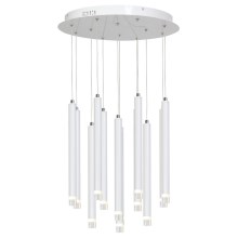 LED Żyrandol na lince ALBA 12xLED/1W/230V biały