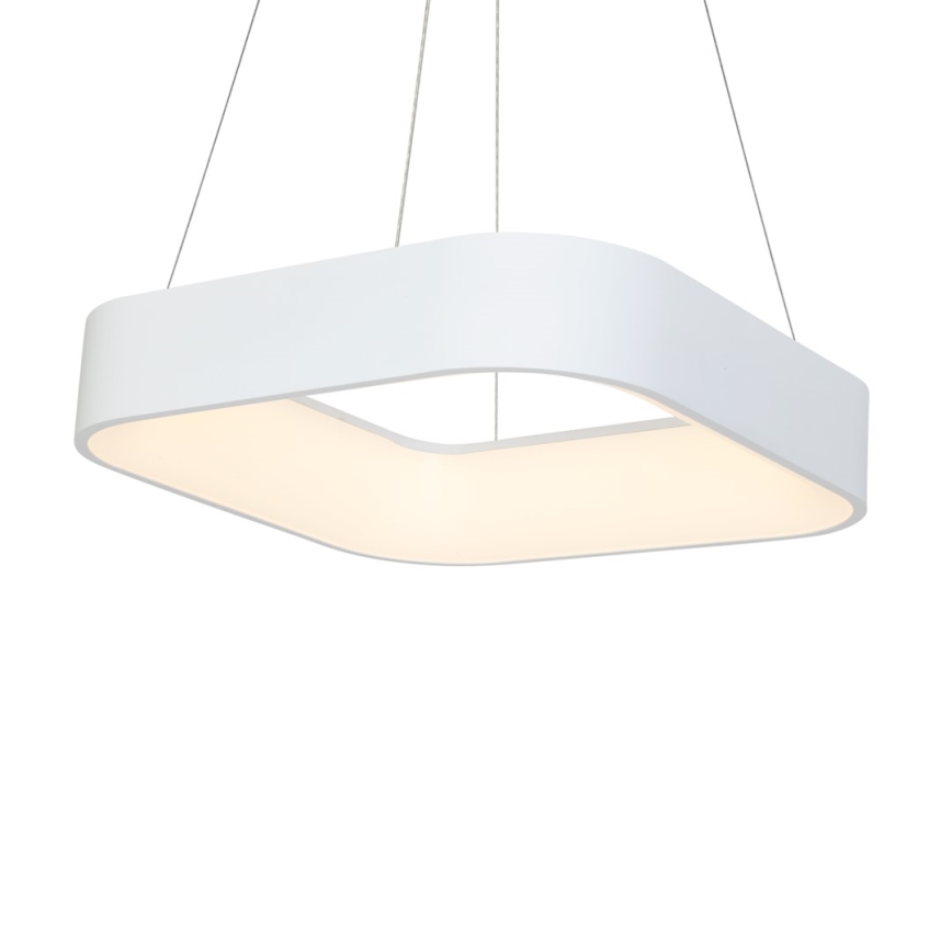 LED Żyrandol na lince ASTRO 1xLED/24W/230V