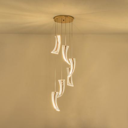 LED Żyrandol na lince FIRENZE 6xLED/10W/230V 3000K