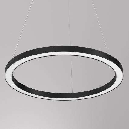 LED Żyrandol na lince GALAXIA LED/26W/230V czarny
