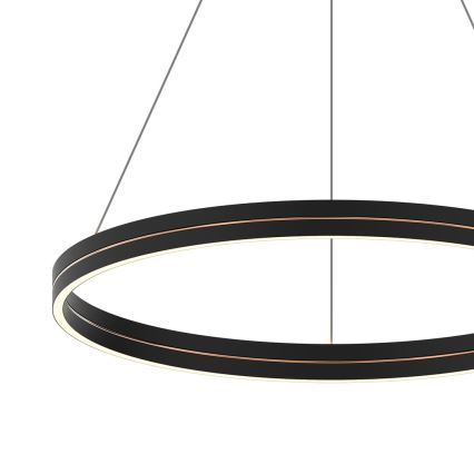 LED Żyrandol na lince GRAVITY LED/36W/230V czarny