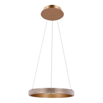 LED Żyrandol na lince HASHIM LED/22W/230V śr. 40 cm miedziany